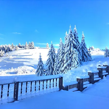 Villa Stoykite-pamporovo Nature Retreat *